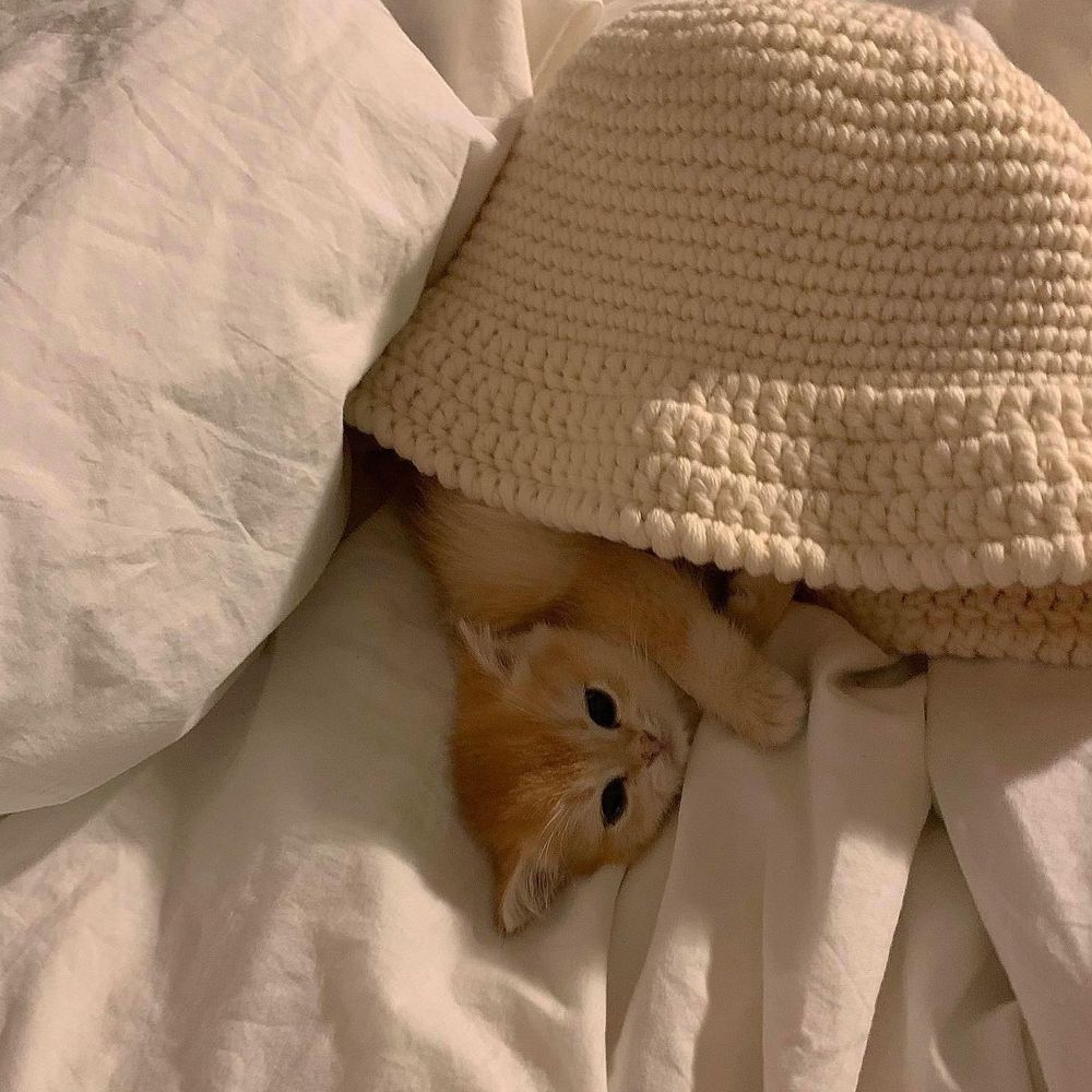 5個方法改善睡眠品質！跟淺眠、多夢說掰掰，保證一覺到天亮！-6