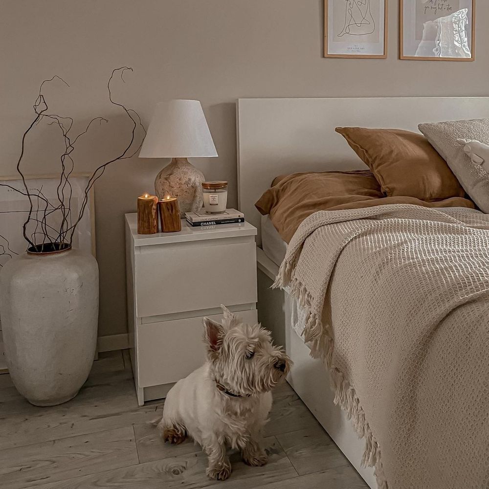 5個方法改善睡眠品質！跟淺眠、多夢說掰掰，保證一覺到天亮！-7