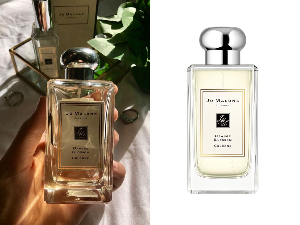 2023橙花香水推薦！Jo Malone London、SABON、嬌蘭...，春夏必入溫柔花香調，散發純淨透明的偽體香-1