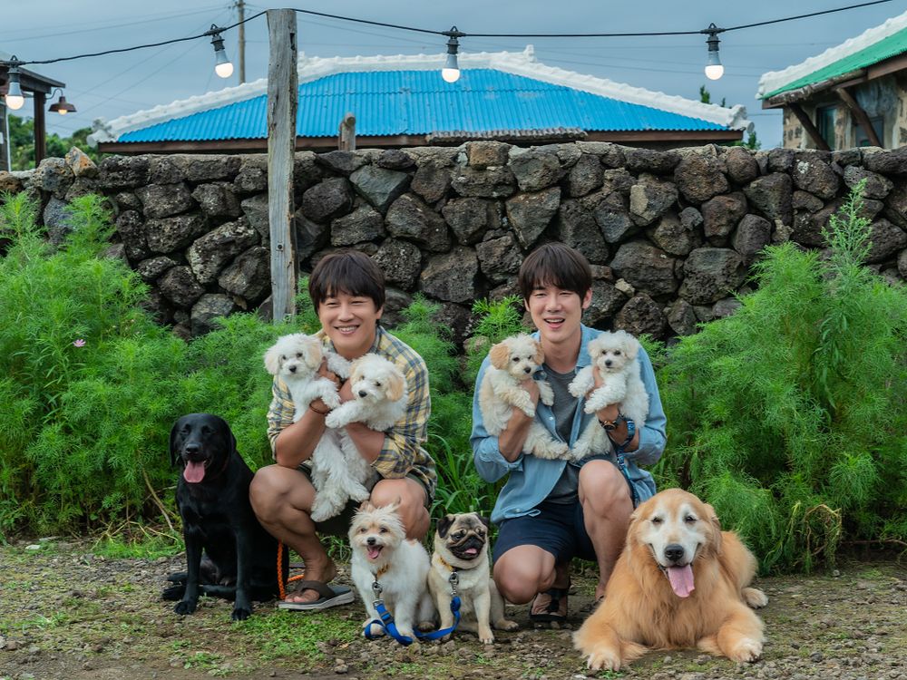 狗奴必看！《超完美狗保姆》柳演錫、車太鉉再度合作，8隻萌犬演出萌翻天！-1