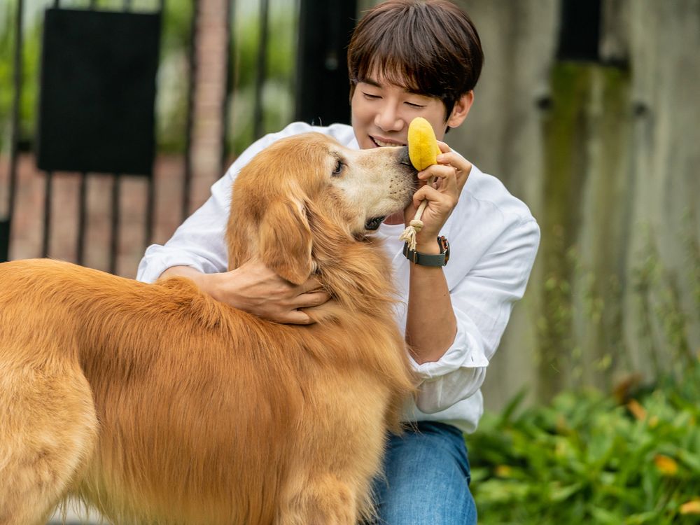 狗奴必看！《超完美狗保姆》柳演錫、車太鉉再度合作，8隻萌犬演出萌翻天！-3