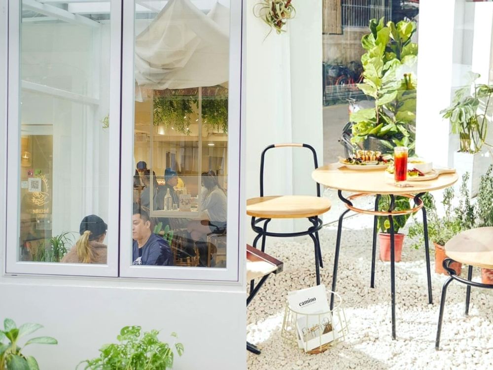 天天都是世界地球日!6間質感綠色餐廳推薦:小小樹食、Plants、上善豆家...連肉食者也愛!-6