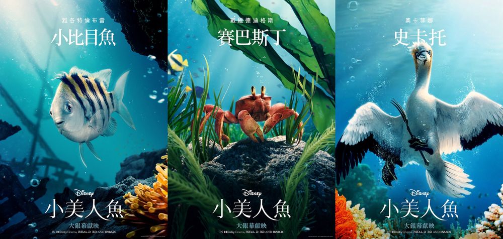 真人版《小美人魚》角色海報亮相！賽巴斯丁、小比目魚曝光、海莉貝利重新詮釋〈Part of Your World〉不輸原版-3