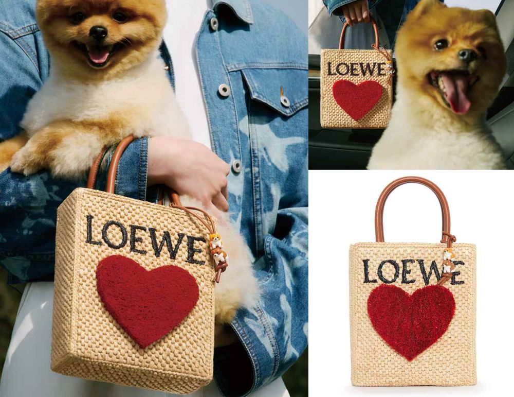 兩萬起擁有新包!LOEWE『夢幻精品包』整理:520情人節限定、入門款通通好心動!-4