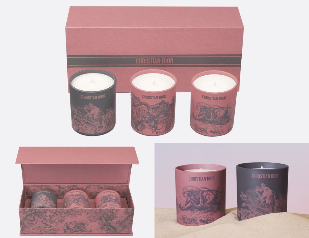 Dior台灣官網開放線上購物!超隱藏『低預算小物』:短夾、戒指、項鍊...NT.3千起送到家!-3