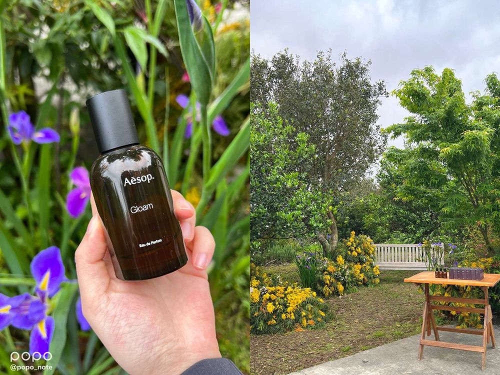 普發6000元怎麼買?質感小眾香水推薦:AESOP、sisley、嬌蘭...,全新問世花香木質調,將品味優雅穿上身!-4