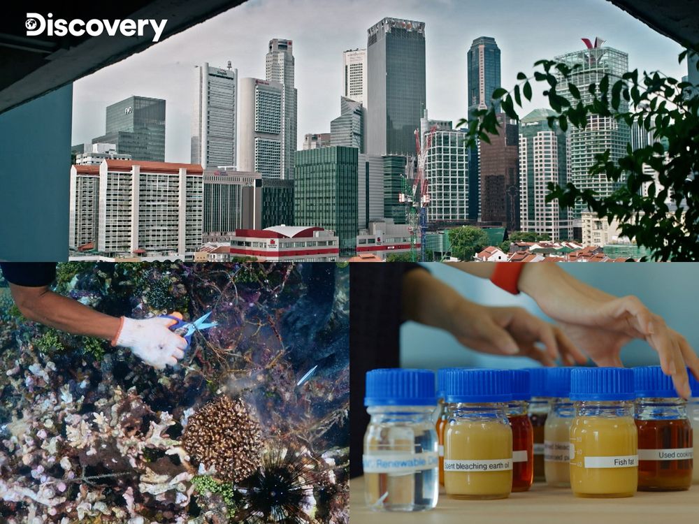 化身愛地球大使!周興哲攜手Discovery號召4/22世界地球日人類關機一小時!-1