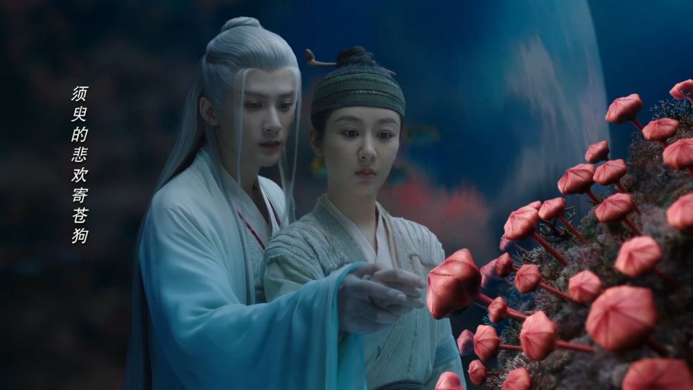 Netflix陸劇《長相思》9大看點&角色介紹！楊紫上演四角虐戀，親媽擔綱編劇神還原小說名場面！-19