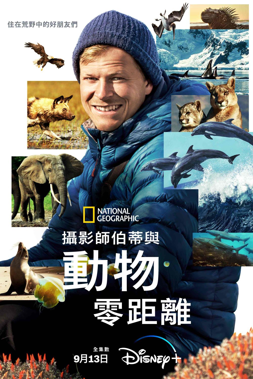 Disney+2023年9月必看片單推薦！池昌旭《惡中之惡》，李準基《阿斯達年代記2》，《小美人魚》9/6上架-13