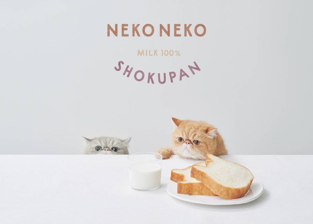 NEKO NEKO貓咪吐司新口味超夢幻！「抹茶草莓吐司、小貓掌瑪德蓮」可愛到心臟爆擊！-5