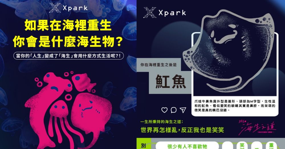你是魟魚還是海豹？全網爆紅Xpark心理測驗測出你是哪種海洋生物！-1