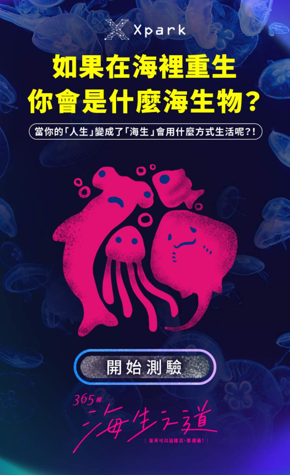 你是魟魚還是海豹？全網爆紅Xpark心理測驗測出你是哪種海洋生物！-2