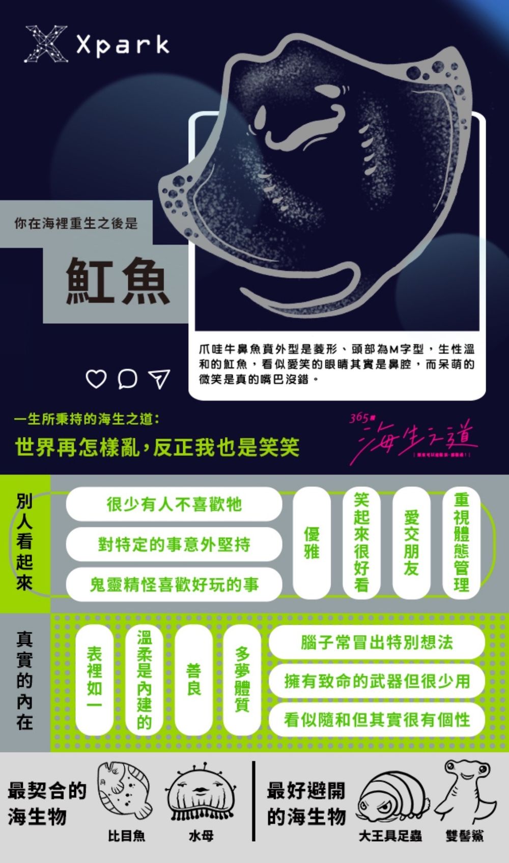 你是魟魚還是海豹？全網爆紅Xpark心理測驗測出你是哪種海洋生物！-6