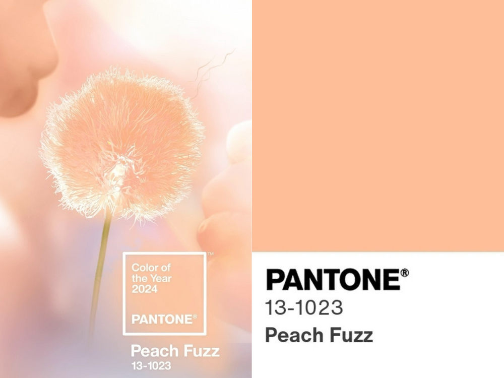 Pantone 2024年度代表色「Peach Fuzz絨毛蜜桃色」！萬能小臉腮紅搭配攻略，減齡、瘦臉一次達到！-2