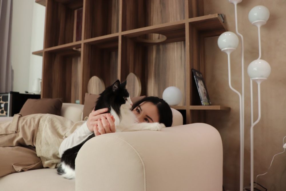 貓咪陪睡超療癒！宜蘭羅東住宿「Māode+貓的家」住宿訂房價格資訊一次看！-1