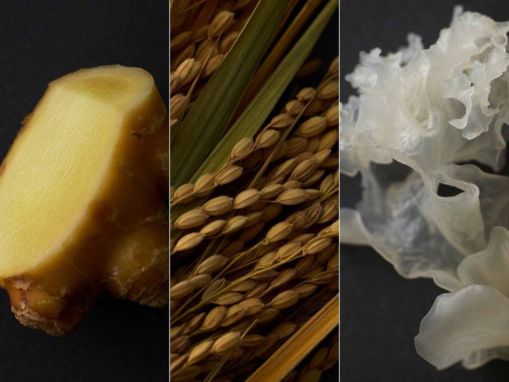 乾燥脫皮唇的神級護唇膏來了！THREE全新升級「平衡防護潤唇膏」暖薑、佛手柑、甜橙果精油滿滿植物香氣，又香又嫩滋養雙唇！-6