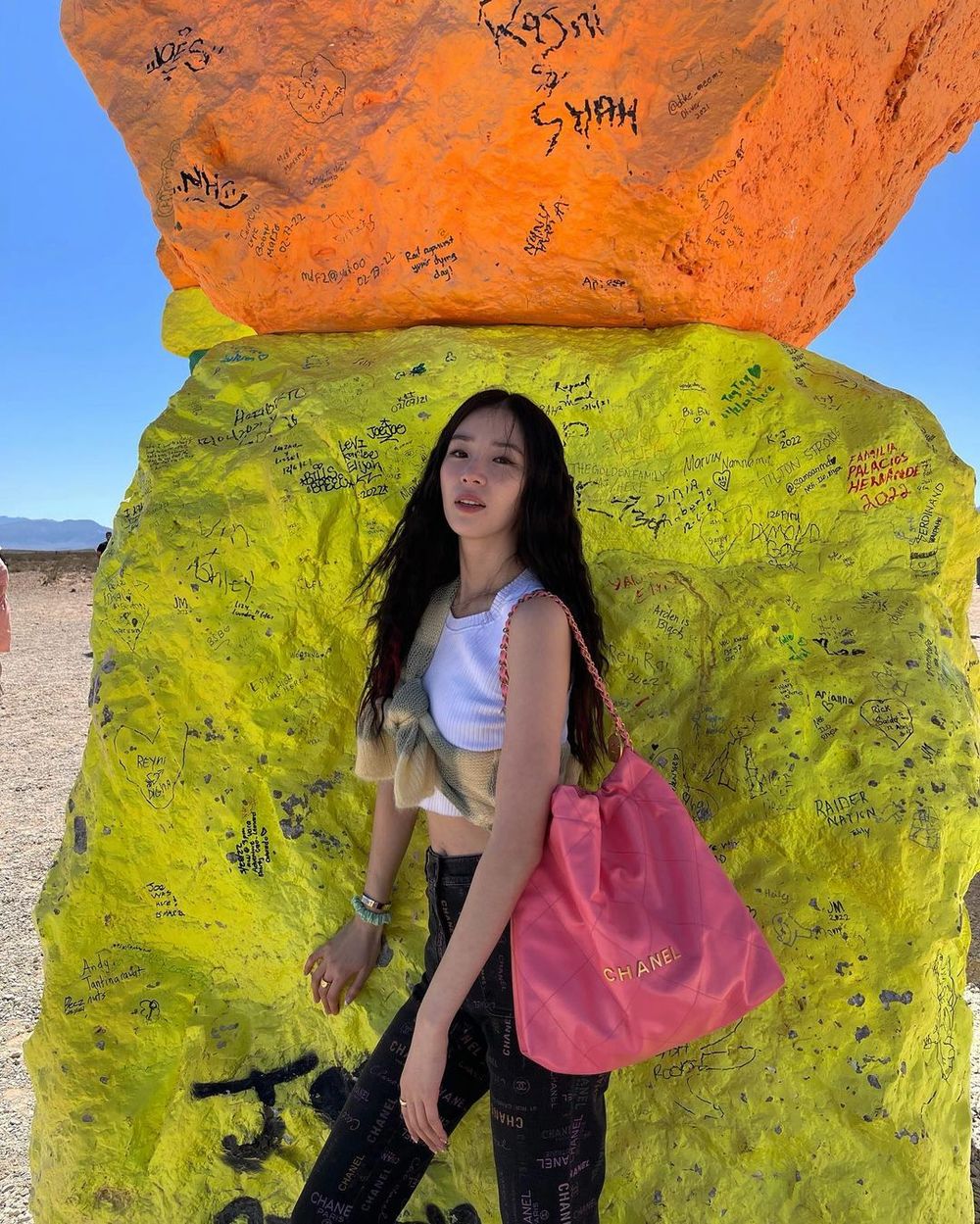 2024必買精品包預測TOP7！DIOR、CHANEL…女孩必收，張員瑛同款MIU MIU賣超好！-7