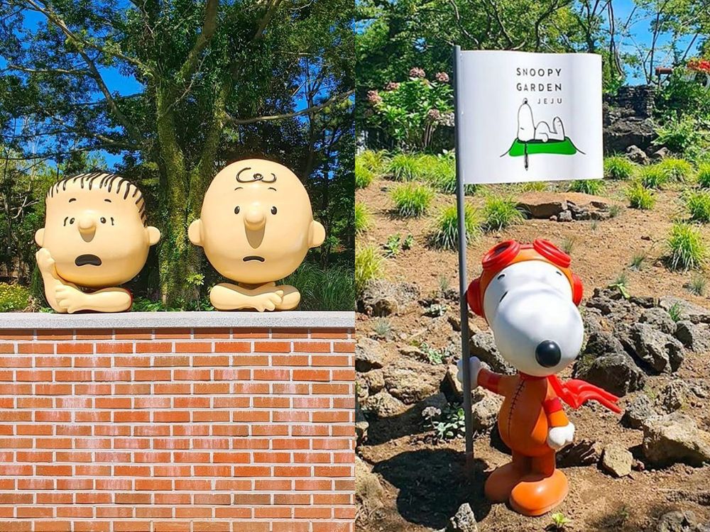 韓國最大「史努比莊園」鐵粉必朝聖！11個主題特色區、療癒史努比咖啡廳，進去就不想出來了-2