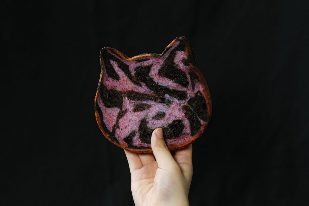 來自名古屋！萬聖節限定「NekoNeko紫薯巧克力貓咪吐司」萌翻天，這裡就能買得到！-4