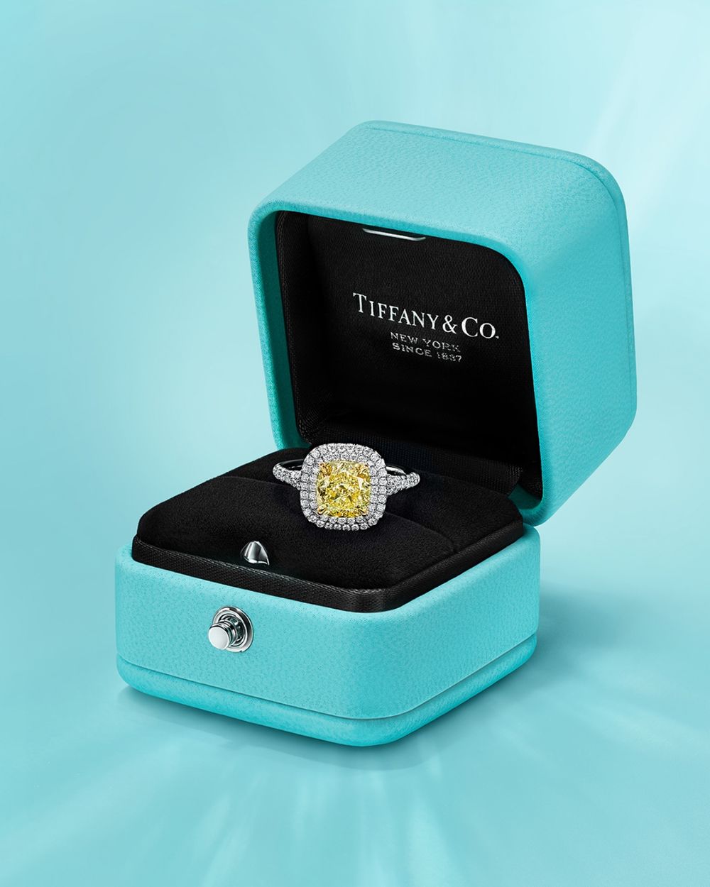 2024最夢幻Tiffany情人節禮物清單！戒指、愛心項鍊、T手環...擁有一個就滿足了！-4