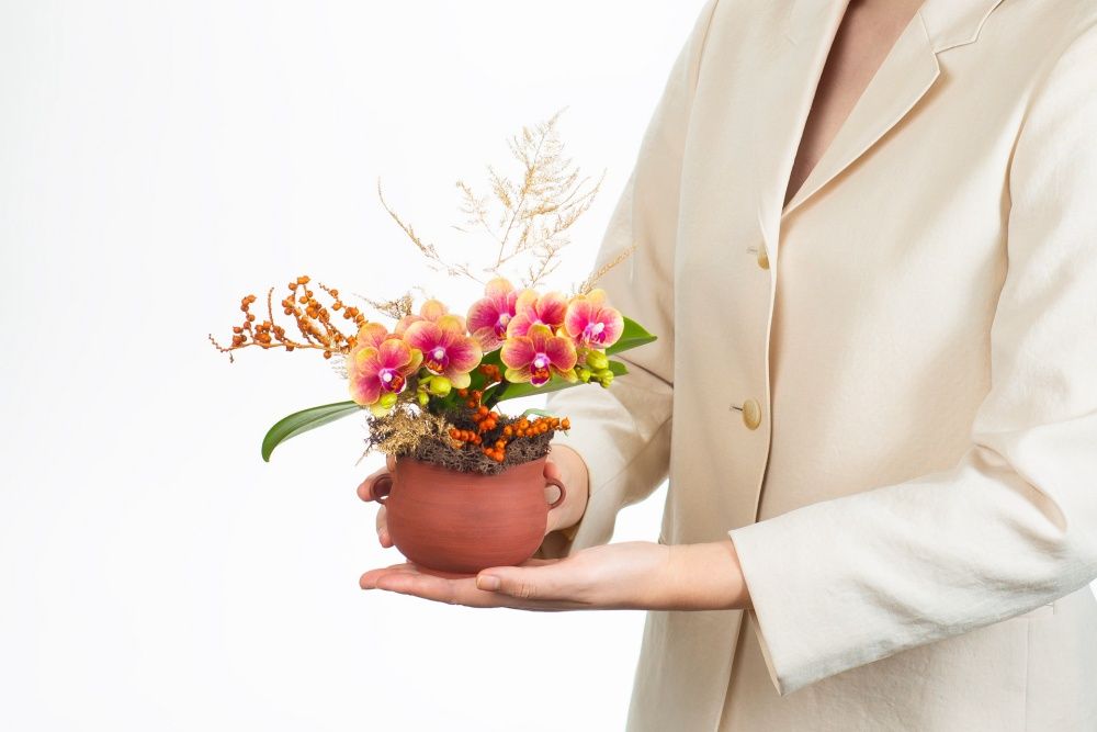 2024龍年開運植物盆栽推薦！財位必備「這5種」讓你龍年財源滾滾來！-6