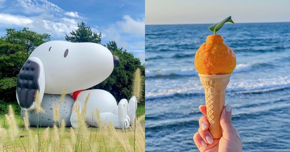 2024韓國濟州島景點推薦！史努比庭園、光影美術館、超夯橘子甜點店全都必打卡！-1