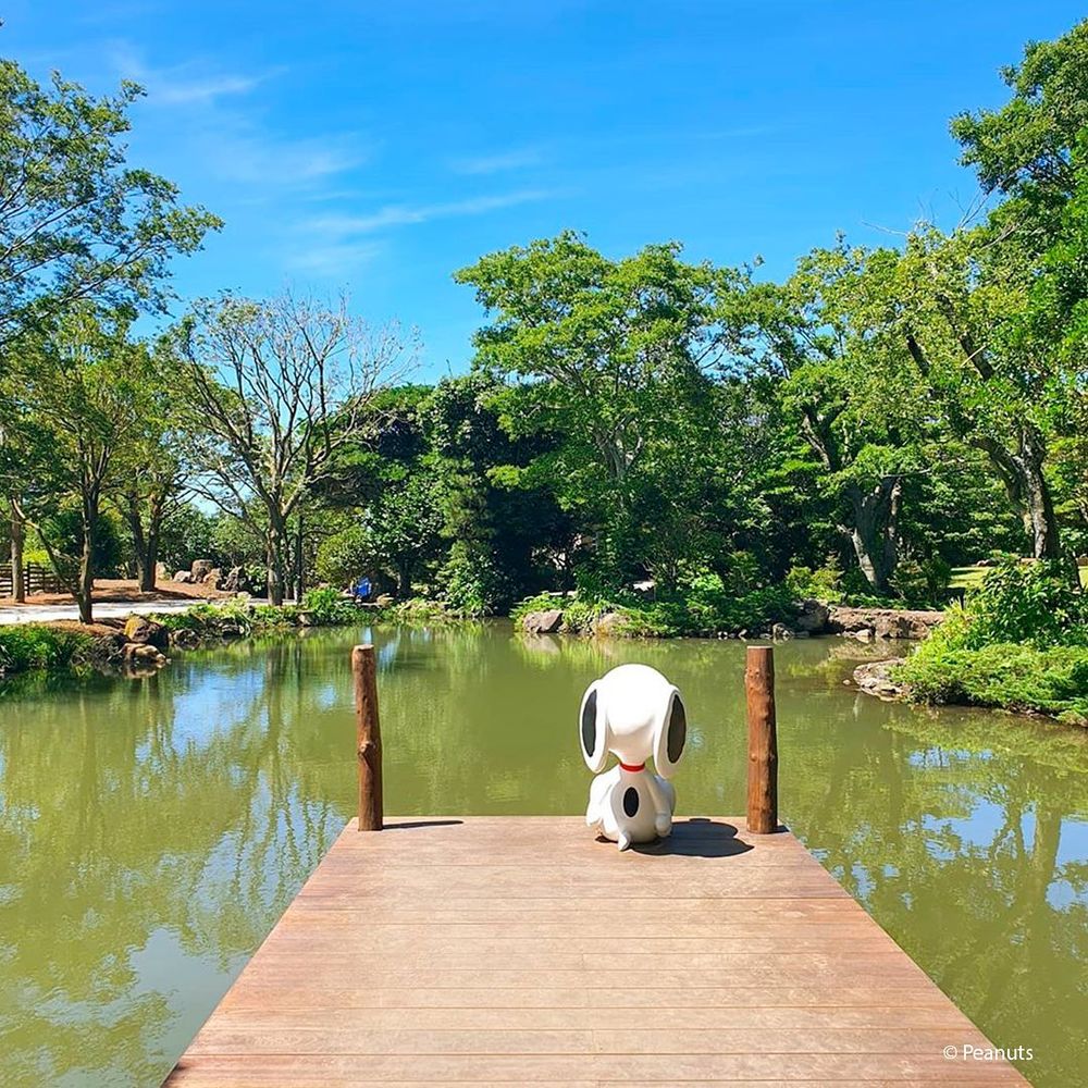 2024韓國濟州島景點推薦！史努比庭園、光影美術館、超夯橘子甜點店全都必打卡！-4