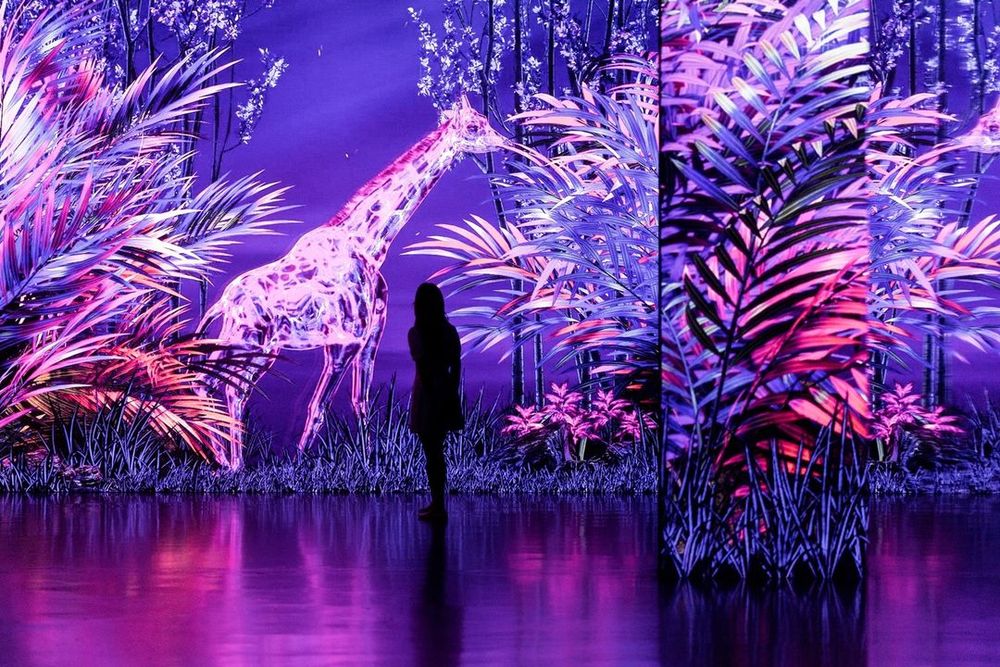 2024韓國濟州島景點推薦！史努比庭園、光影美術館、超夯橘子甜點店全都必打卡！-17