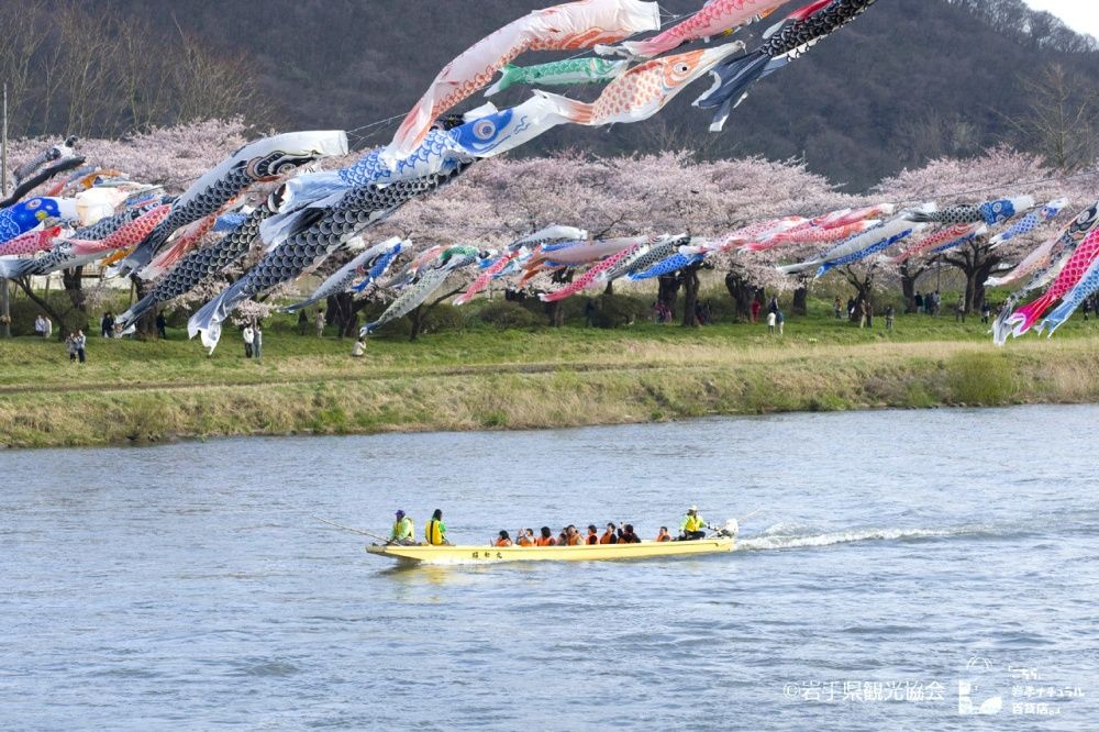 2024日本7大賞櫻景點推薦！東京粉白櫻海、奈良邊看小鹿邊賞櫻⋯手刀訂機票！-14