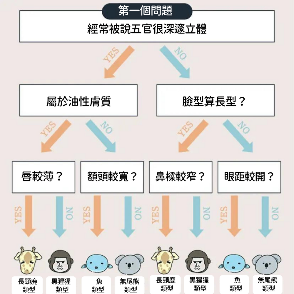 未上市先轟動！日本人氣彩妝師監製WHOMEE「貓咪限量彩妝」外觀太萌、貓奴必入！加入動物臉型測試、畫出最適合眼妝！-12