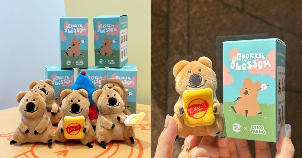Quokka粉瘋掉！7-11獨賣「短尾矮袋鼠」盲盒公仔、6大款式+開賣日期價格一次看！-1
