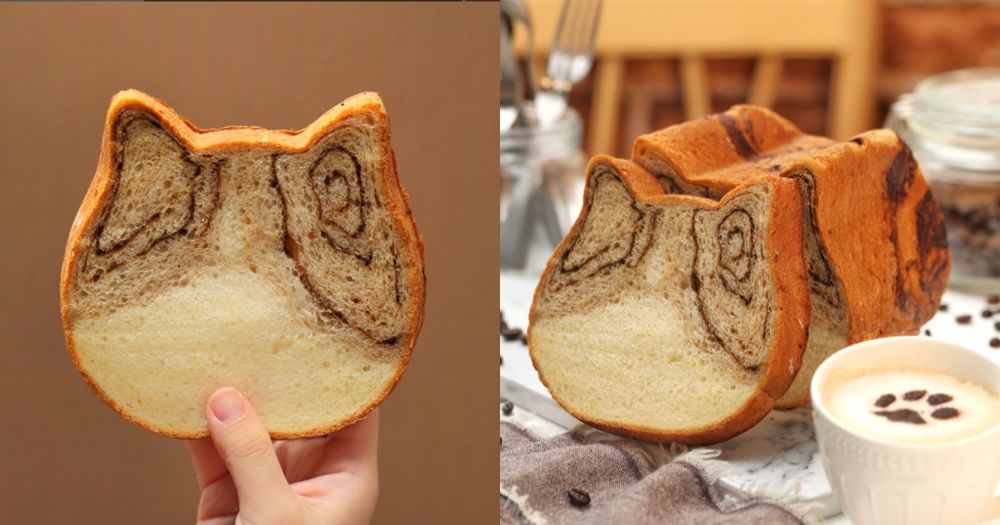 貓咪吐司新口味！大人系「卡布奇諾吐司」滿滿咖啡香、貓貓小臉超療癒！-4