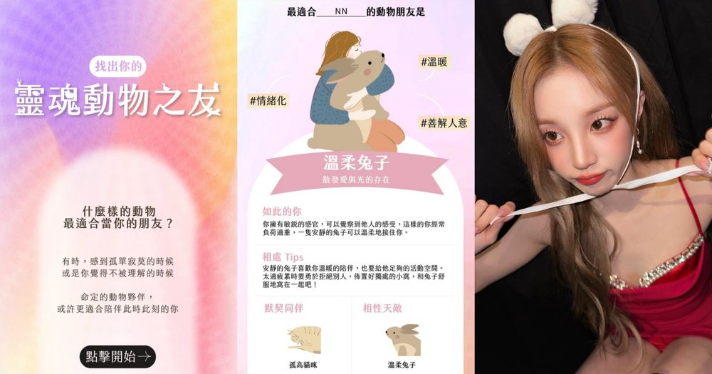 Dcard瘋傳超準「靈魂動物之友」心理測驗！你是溫柔兔子還是黏人小鴨？-1