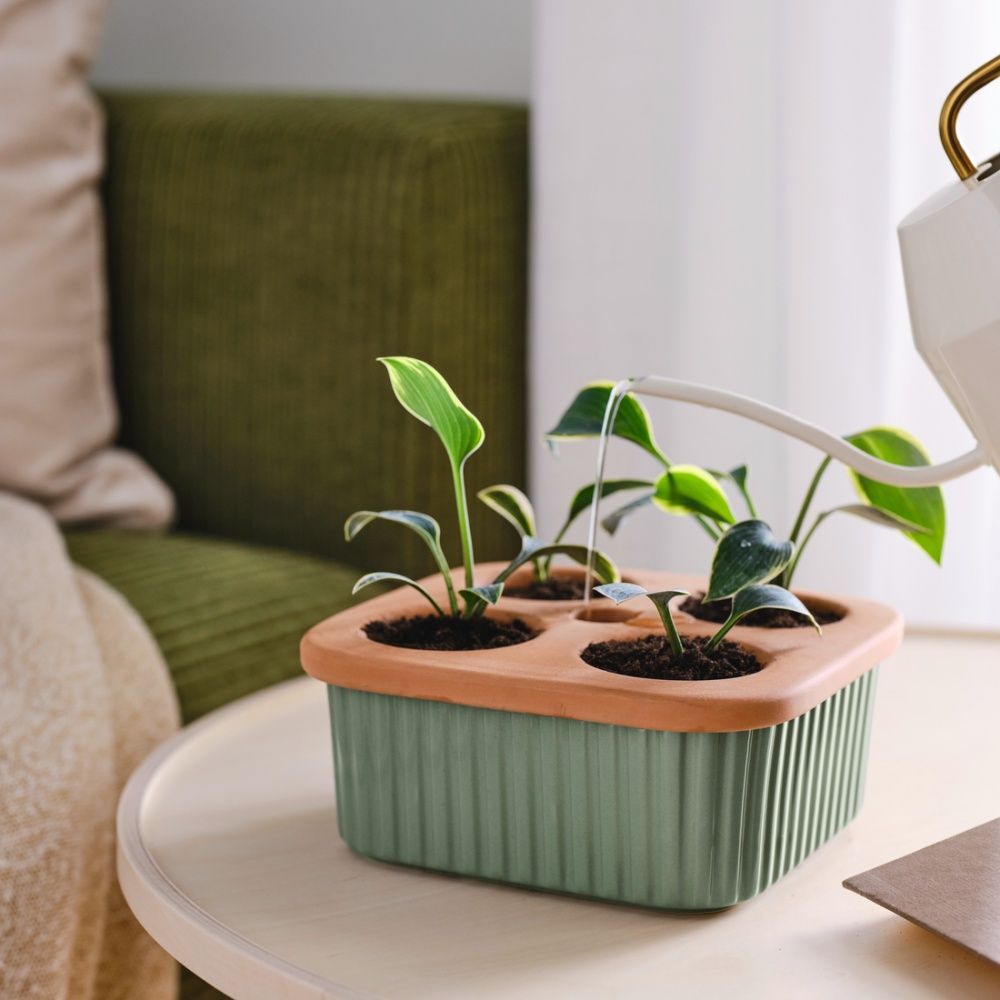 IKEA園藝盆栽必買6大好物推薦！苔蘚綠花盆、印花手套⋯植物迷買起來！-2