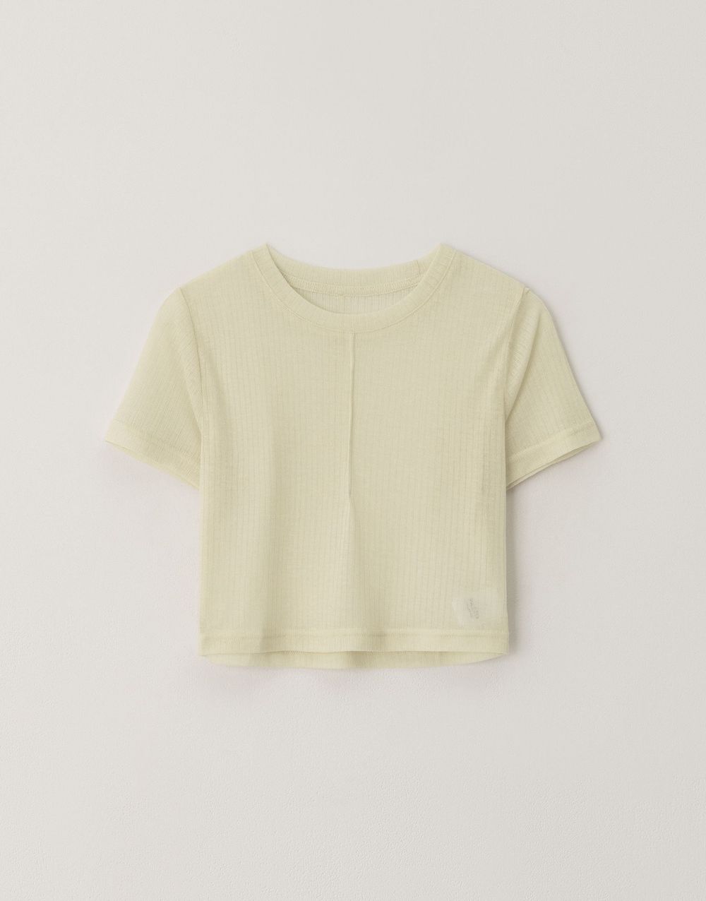 5位擁有「名品川字腹肌」韓國女偶像！張員瑛、雨琦線條太美，「她」每天都健身！-19