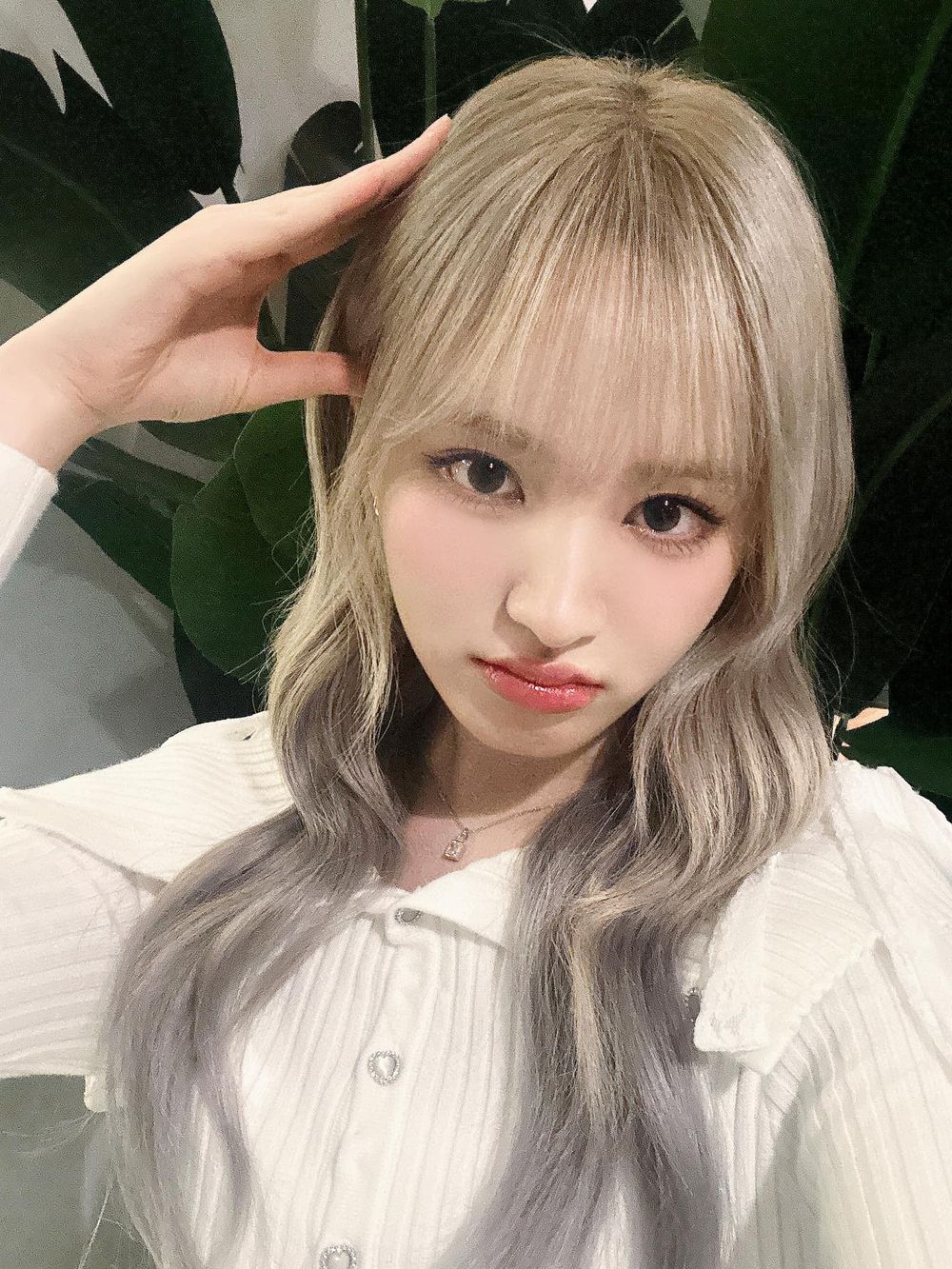 韓網熱議6位常被誤認為是「混血兒」韓國偶像！Liz、S.COUPS超像外國人， Felix居然是土生土長的韓國人！-2