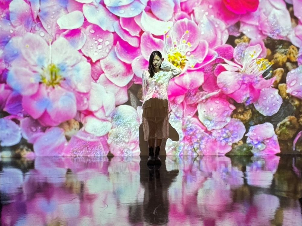 免費入場！蜷川實花《瞬間的永恆》攝影展來了！2大展區+12幅超夢幻花系作品隨便拍都美瘋-3