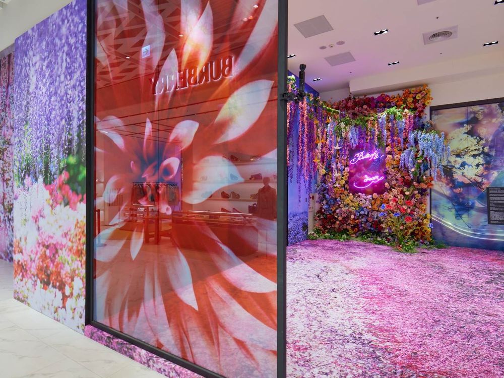 免費入場！蜷川實花《瞬間的永恆》攝影展來了！2大展區+12幅超夢幻花系作品隨便拍都美瘋-6