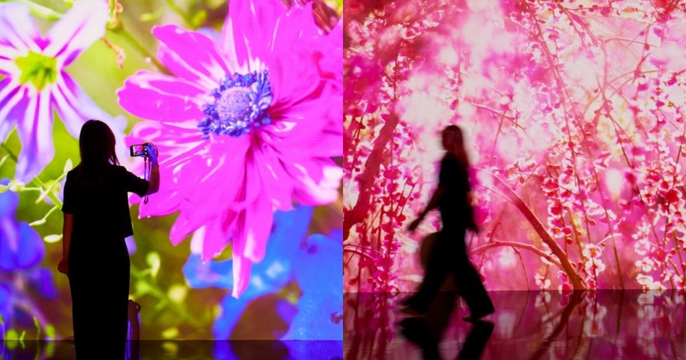 免費入場！蜷川實花《瞬間的永恆》攝影展來了！2大展區+12幅超夢幻花系作品隨便拍都美瘋-9