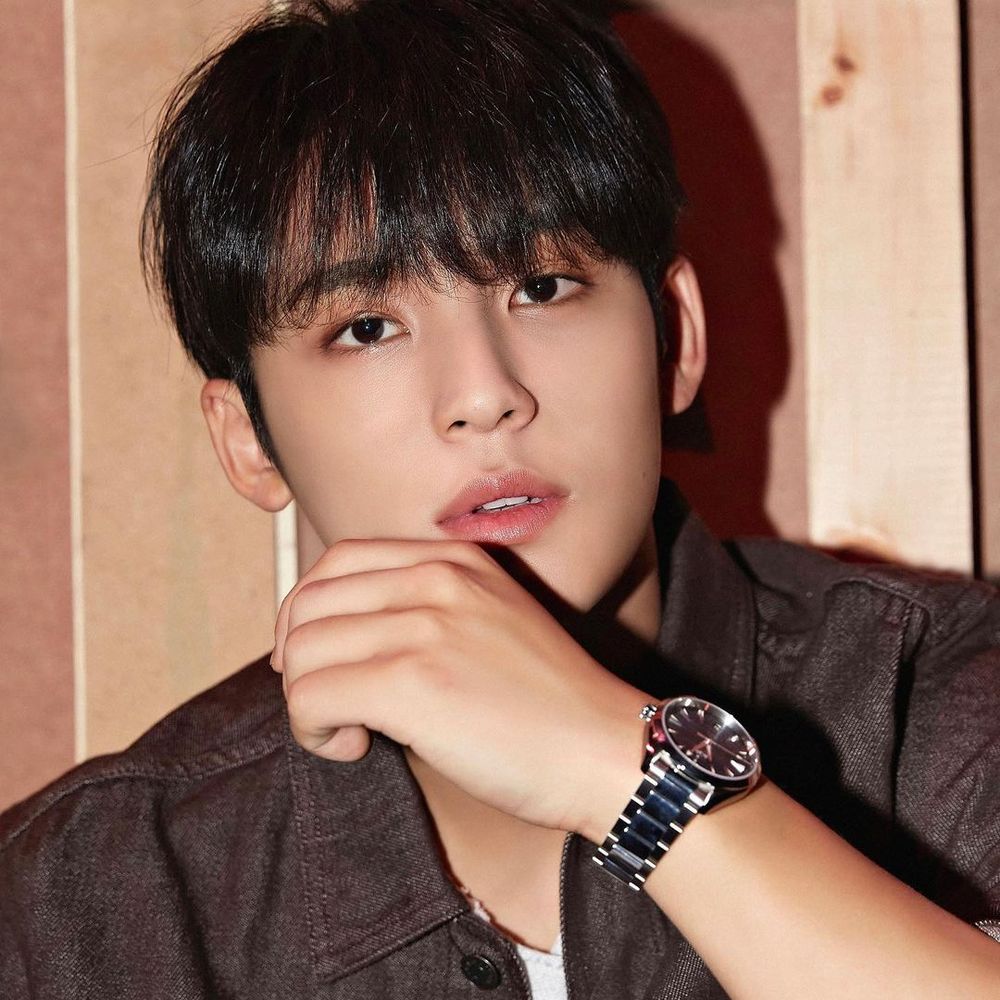 克拉之光！SEVENTEEN珉奎「23億金總」時尚資源狂炸！DIOR、LV精品瘋搶！-19