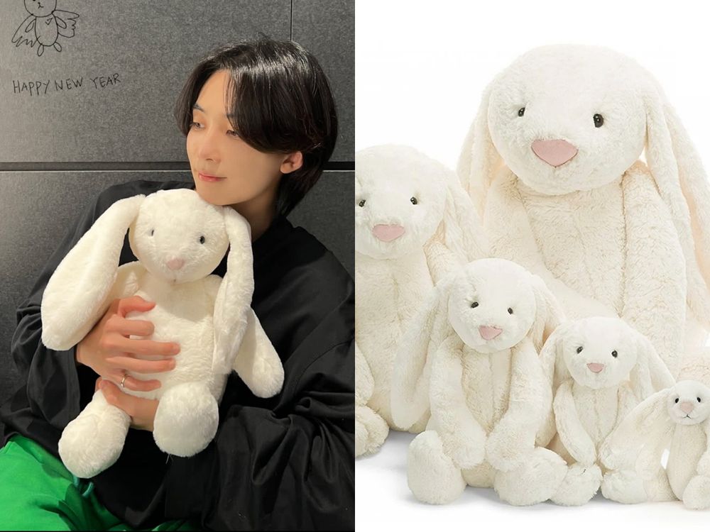 Winter、SEVENTEEN淨漢「韓星人手緊抱一隻」軟綿綿Jellycat同款玩偶、小熊跟兔兔找到了！-2