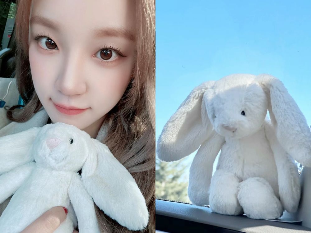 Winter、SEVENTEEN淨漢「韓星人手緊抱一隻」軟綿綿Jellycat同款玩偶、小熊跟兔兔找到了！-3