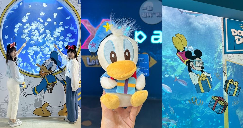 Xpark也有唐老鴨樂園？超夯水母牆、大魚缸等5打卡點搶先看，買套票再送超萌唐老鴨零錢包！-5
