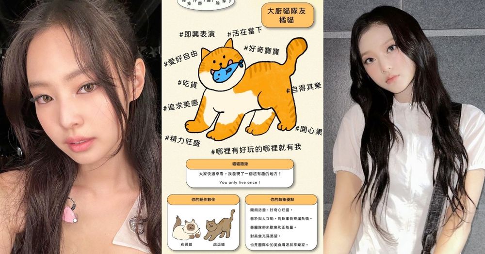 社群爆紅貓咪心理測驗！9題測出你的個性最像哪種貓、你是療癒布偶貓還是吃貨橘貓？-1