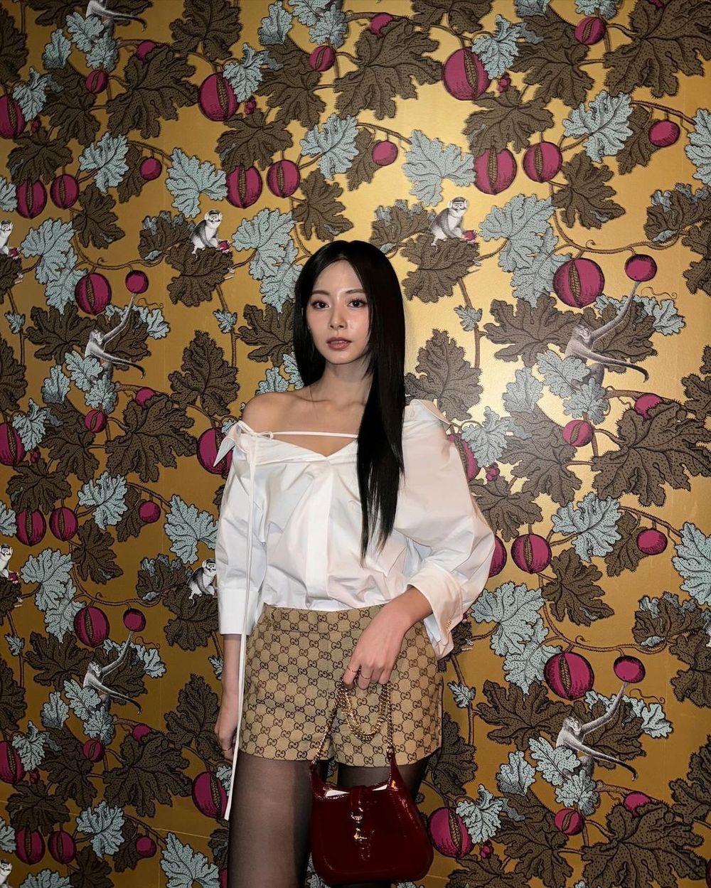 子瑜終於要Solo了！營業力開啟Gucci、YSL都來搶人？！粉絲集氣順勢拿下精品代言！-2