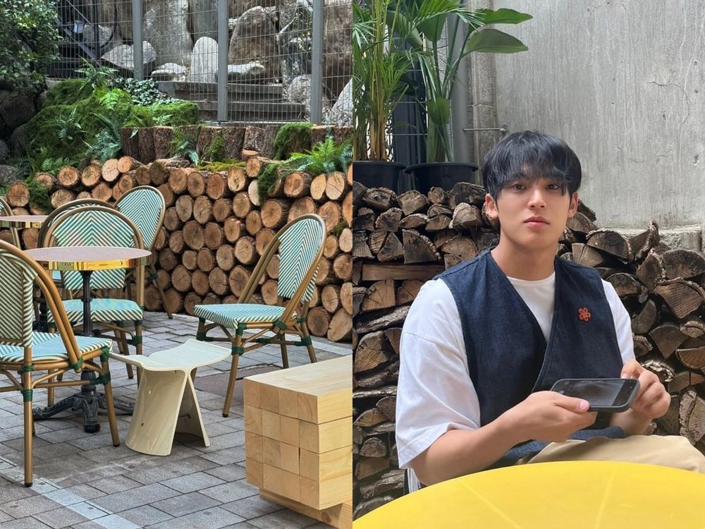 SEVENTEEN珉奎都去這些地方吃飯！肉搜金總最愛5間首爾餐廳、克拉快衝去巧遇大狗狗！-2