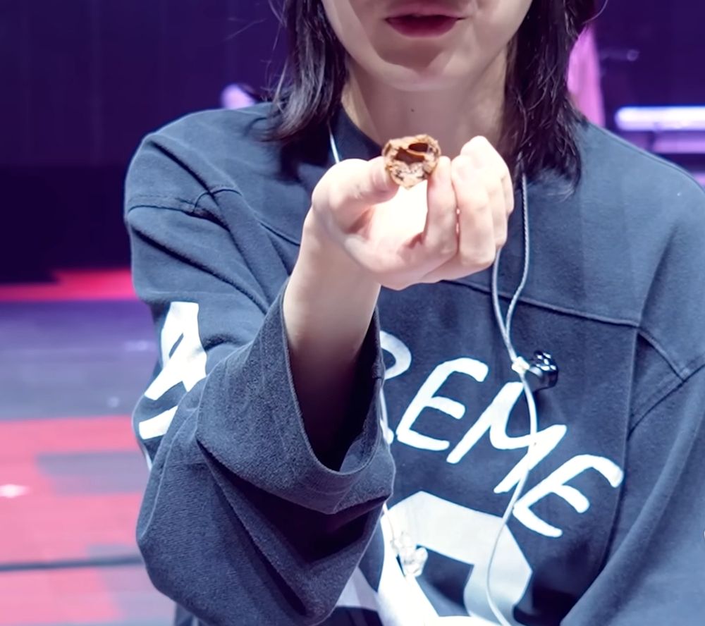 IU根本台灣美食推廣大使！車輪餅、麻辣鍋每次來台都要吃，義美小泡芙竟最愛「這口味」？-12
