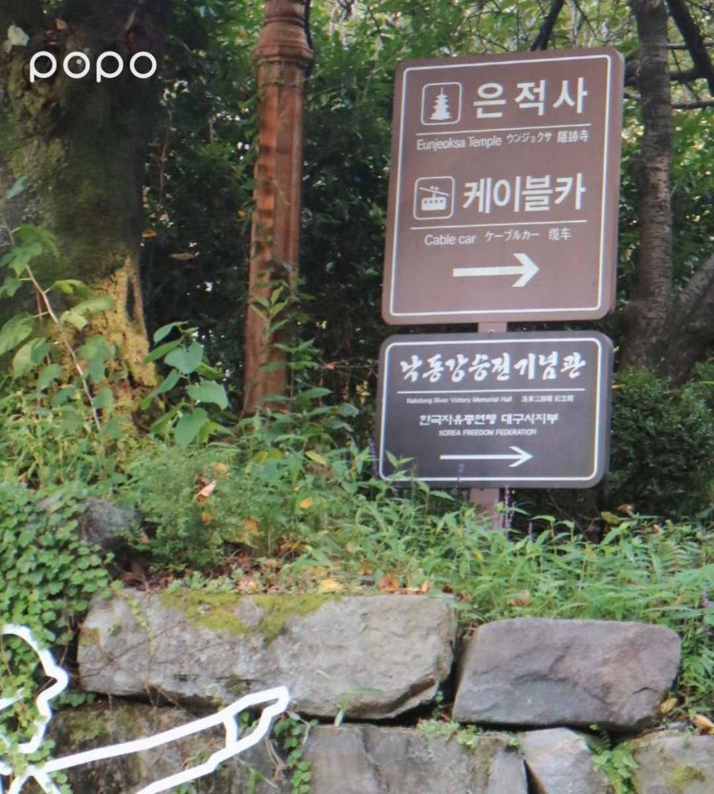 克拉快去S.COUPS的家鄉玩！2024大邱旅遊景點推薦：《淚之女王》劇中咖啡廳原來也在這！-16