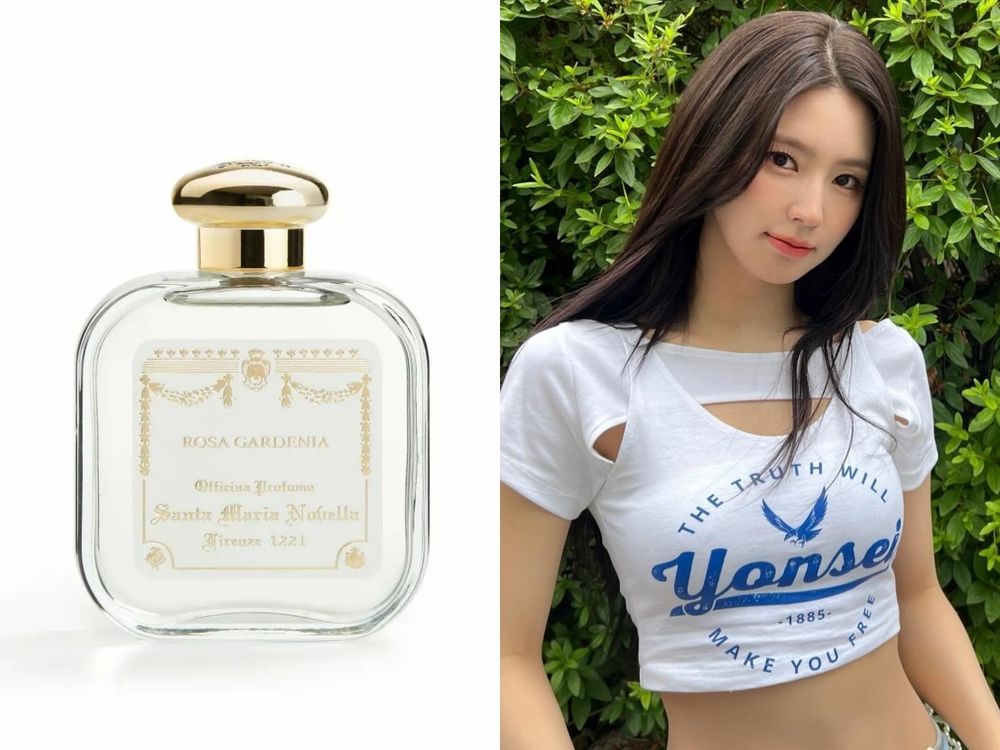 玫瑰香控韓國女愛豆盤點！張員瑛、JISOO同款香又甜又軟，舒華、子瑜竟都愛小眾玫瑰香水！-13