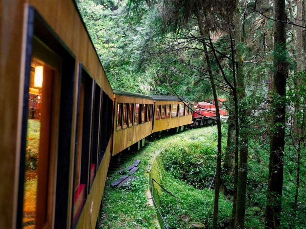 全台最美觀光列車阿里山「福森號」這天通車！美炸檜木車廂、五星飯店火車便當5亮點一次看！-9